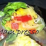 recette Rouleaux de printemps aux légumes