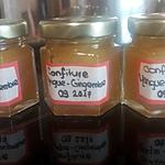 recette Confiture Mangue Gingembre