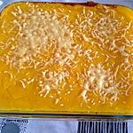 recette Hachi-parmentier au potiron -thermomix-