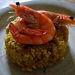 Risotto au petit d'air d'Inde