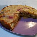 recette Gâteau aux pêches et aux nectarines