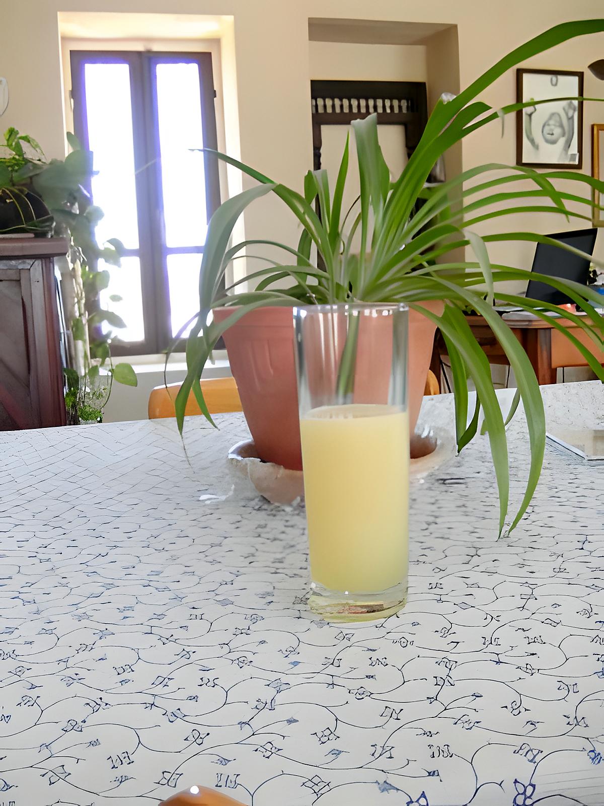 Recette Citronnade comme en Tunisie