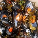 recette Moules a l oseille