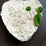 recette Fromage frais maison sans appareil et sans presure, la recette très très façile !
