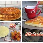 recette ABRICOTIER