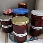 recette Confiture de brugnons et prunes sauvages