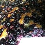 recette Tarte aux myrtilles sauvages