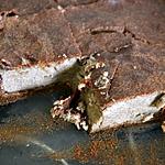 recette Far breton au sarrasin et aux pruneaux