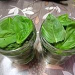 recette Basilic frais congelé.