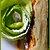 recette Bolzano Apple Cake