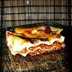 recette Lasagnes simplissimes