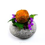 recette Croquette de pomme de terre à l'ail des ours, et fromage de brebis, vinaigrette carotte miel.
