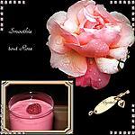 *SMOOTHIES TOUT ROSE*