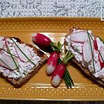 Oignon Rouge : recette tartines au petit Billy et râpé de radis roses