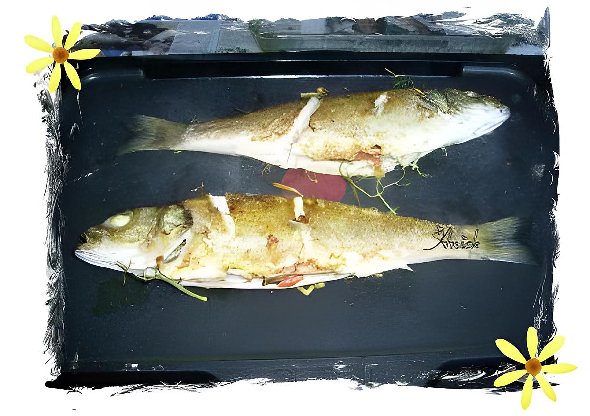 recette loup de mer au fenouil et tomates confites