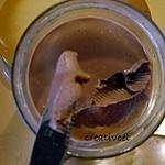recette Ma pâte à tartiner au chocolat toute légère (Prépa 10 mns)