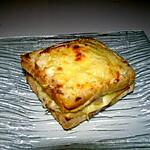 recette croque monsieur a ma façon (n°1)aux poulet