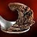 recette SORBET AU CACAO