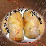 cuisine asiatique : recette nems au poulet et légume