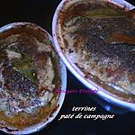 recette terrines, paté de campagne