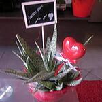 mamie : recette BONNE FETE A TOUTES LES MAMIES