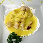 Petites Coquilles St Jacques au Safran