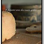 recette **Préparer du foie Gras s'en se prendre la tête : simplement "cuit" au sel (sans cuisson)**
