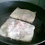 recette brique saumon fromage de lozere