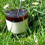 recette Panna Cotta à la Vanille et coulis de Mûres