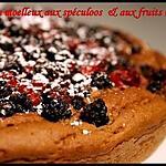 recette ** Gâteau fondant aux spéculoos, tofu soyeux et fruits rouges ..sans beurre, sans crème, ni oeuf  ajoutés**