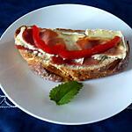 recette Tartine camembert/jambon de Bayonne