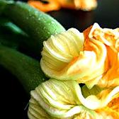 courgette : recette 