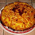 recette tarte au flan aux abricots