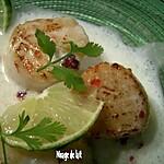 saint jacques : recette Saint Jacques à l'Infusion de Lait de Coco