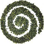 recette lentille facile 0%