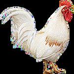 herbes : recette Boulettes de poulet, sauce au fromage blanc et aux herbes