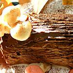 recette Bûche de Noël Framboise-Chocolat