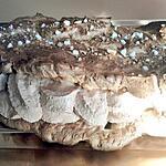 Buche de pate à chou praliné au paris brest
