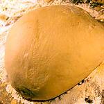 recette Pâte à pizza