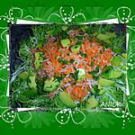 recette Ma salade au daïkon