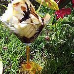 Bananes melba