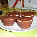 Domes deux chocolat et fraises