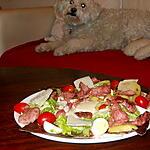 recette SALADE AUX GESIERS CONFITS