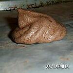 recette Meringue au chocolat