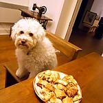 recette BOUCHEES APERITIVES MINUTE