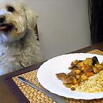 recette POULET AUX ABRICOTS SECS