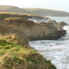 foleux