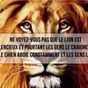 Alice Lou. Moni.