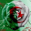 wafaac29