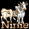 Ninie18